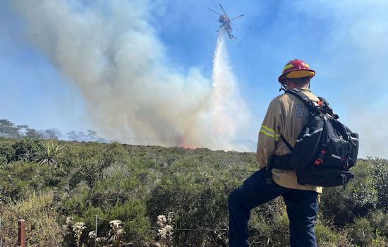 Swift Response by Firefighters Halts 19-Acre Brush Fire Near Torrey Pines, Del Mar Community Evades Injury