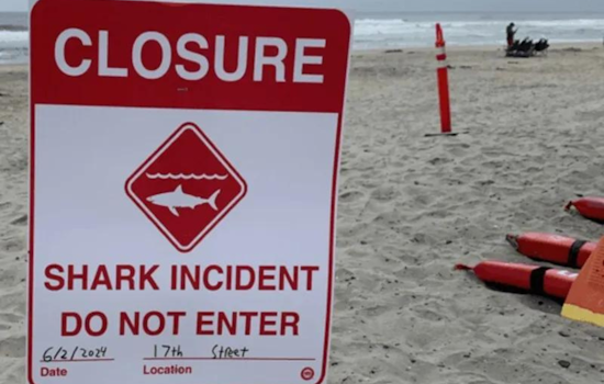 Swimmer Survives Shark Attack off Del Mar Coast, Beaches Closed as San Diego Locals on Alert