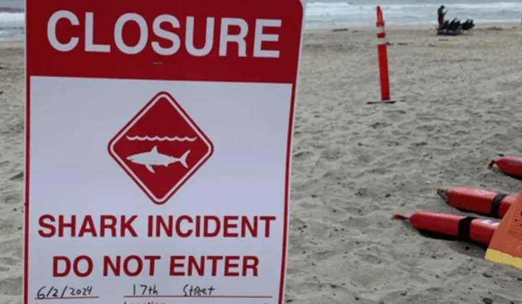 Swimmer Survives Shark Attack off Del Mar Coast, Beaches Closed as San Diego Locals on Alert