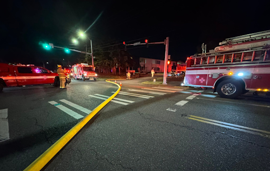 Tacoma Apartment Fire Claims a Resident’s Life and Two Dogs, Community Mourns Loss