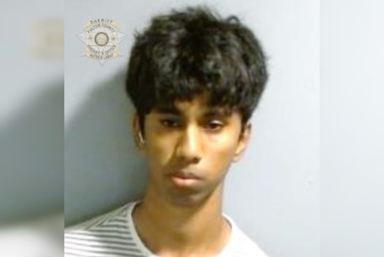 Teen Driver Charged With Homicide in Alpharetta Crash That Killed 2 UGA Students, High School Senior