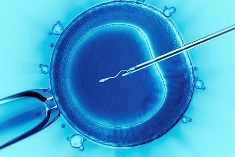 Texas Supreme Court Declines to Review IVF Case, Leaving Lower Court's Frozen Embryo Ruling Intact