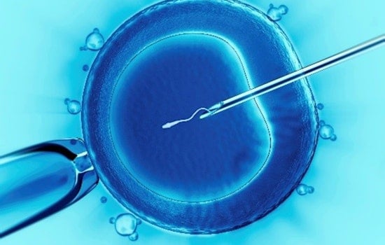 Texas Supreme Court Declines to Review IVF Case, Leaving Lower Court's Frozen Embryo Ruling Intact
