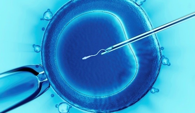 Texas Supreme Court Declines to Review IVF Case, Leaving Lower Court's Frozen Embryo Ruling Intact
