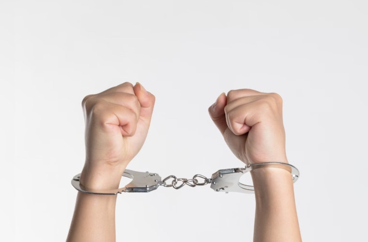 Trio of Women Arrested for Series of Suspected Baseball Bat Thefts Across North Carolina