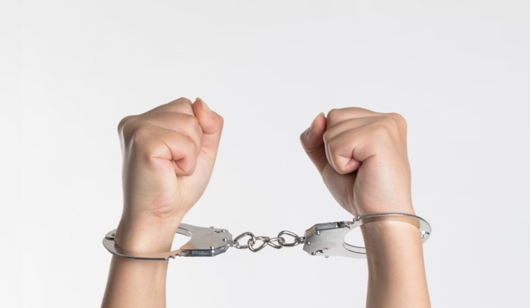 Trio of Women Arrested for Series of Suspected Baseball Bat Thefts Across North Carolina