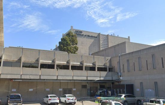UC San Diego's Groundbreaking AI Model Aims to Predict Opioid Addiction Risk