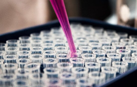 University of Georgia's Intranasal COVID-19 Vaccine CVXGA Set for Clinical Trials in Fall