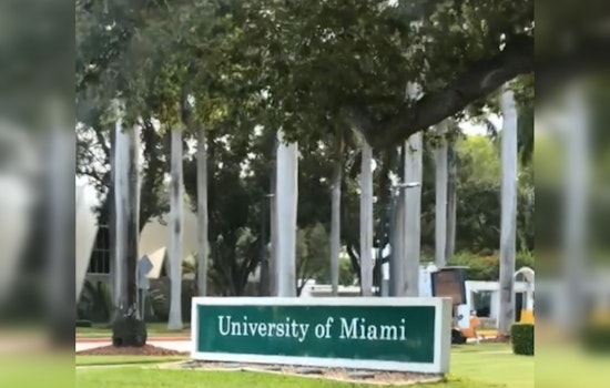 University of Miami Spearheads Innovative Artificial Reef Project Amid Florida Coastal Conservation Efforts