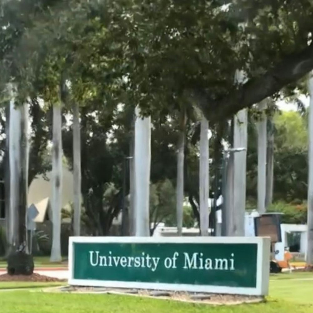 University of Miami Spearheads Innovative Artificial Reef Project Amid Florida Coastal Conservation Efforts