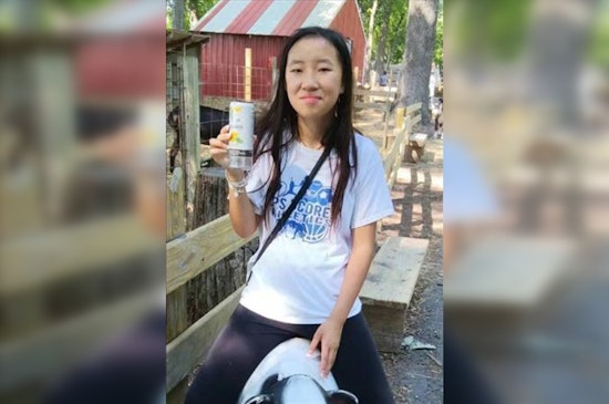 Urgent Search for Missing 13-Year-Old Alyssa Feng in Chicago, Police Seek Public's Assistance