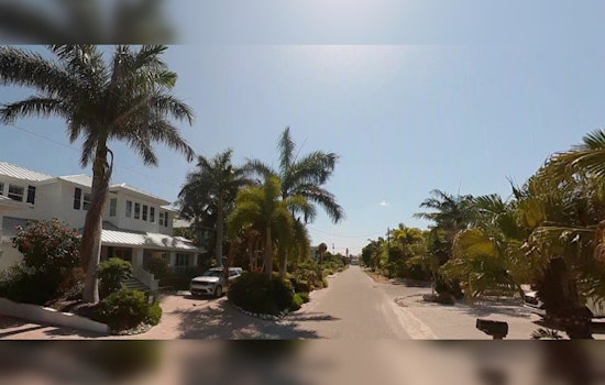 Vehicle Fatally Strikes Nesting Loggerhead Sea Turtle on Anna Maria Island Amidst Disorientation Issues
