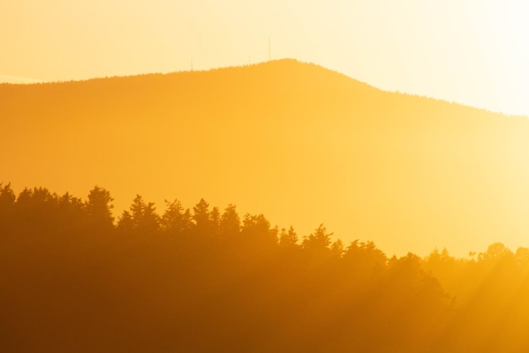 Washington D.C. Braces for Intense Heat Wave With Advice from CDC on Staying Safe