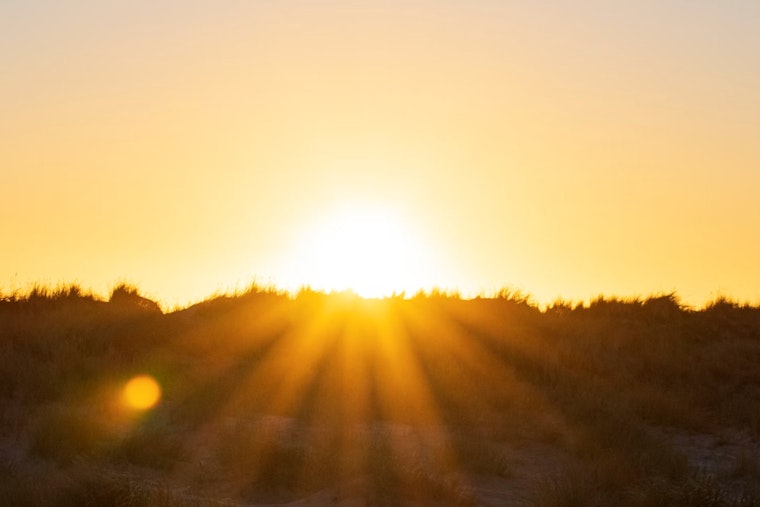 Washington D.C. Braces for Sunny Days Ahead with Temperatures Soaring into the Mid-90s