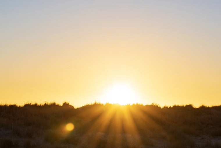 Washington D.C. Braces for Sweltering Week Ahead with Temperatures Soaring into the Mid-90s