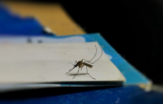 West Nile Virus Detected in Rayon City Mosquitoes, Health Department Urges Precautionary Measures