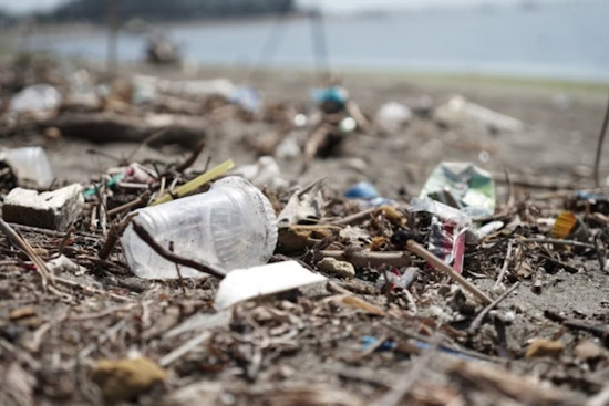 West Palm Beach Task Force Tackles Illegal Dumping, Over 255K lbs. of Waste Cleared and 14 Arrests Made