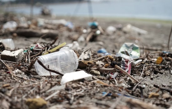 West Palm Beach Task Force Tackles Illegal Dumping, Over 255K lbs. of Waste Cleared and 14 Arrests Made