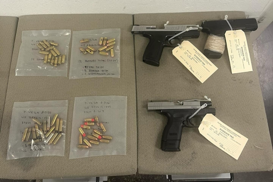 Windsor Police Detain Suspected Gang Affiliate With Firearms During Probation Search