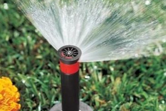 Woodbury Implements Lawn Watering Schedule for Summer, Know Your Days and Restrictions