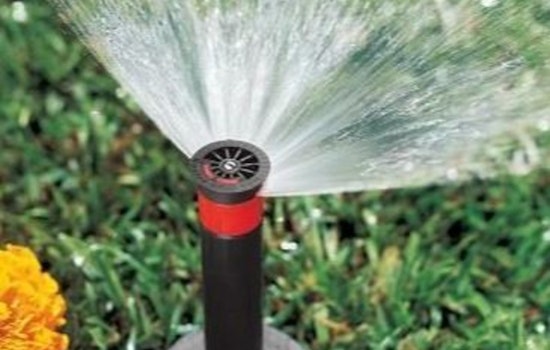 Woodbury Implements Lawn Watering Schedule for Summer, Know Your Days and Restrictions
