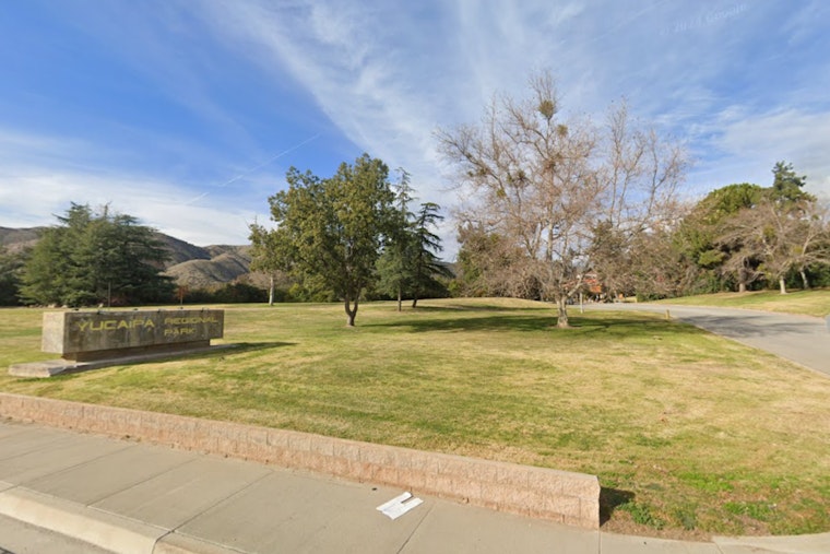 Yucaipa Regional Park's Summer Kick-Off to Feature Live Animals, Games, and Outdoor Movie Screening