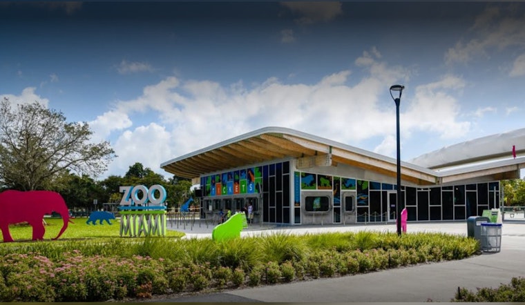 Zoo Miami Detritus: Sloth Bear Hank Fit as a Fiddle Ahead of New Habitat Transition