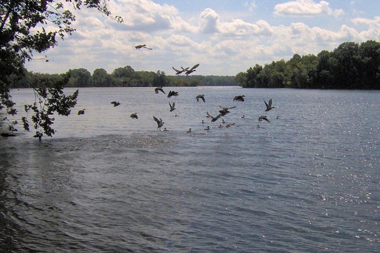 10-Year-Old Boy Dies in Jet Ski Accident on Old Hickory Lake Near Nashville