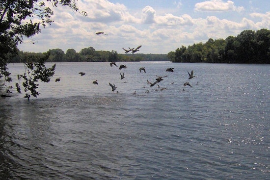 10-Year-Old Boy Dies in Jet Ski Accident on Old Hickory Lake Near Nashville