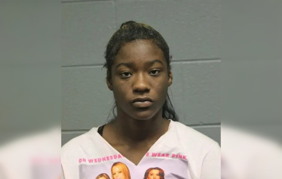 18-Year-Old Charged in Connection with Assault and Robbery on Chicago's CTA Orange Line