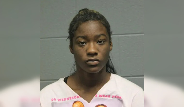 18-Year-Old Charged in Connection with Assault and Robbery on Chicago's CTA Orange Line