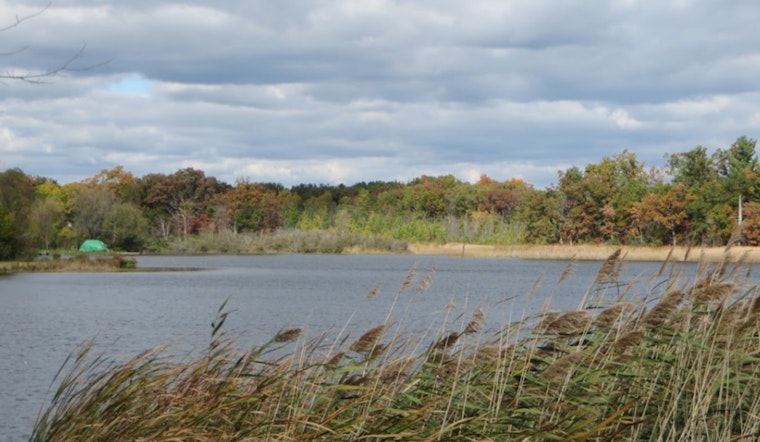 21-Year-Old Highland Township Man Tragically Drowns in Townsend Lake, Independence Township