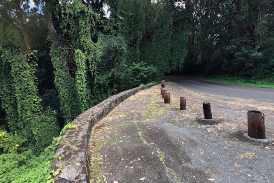 59-Year-Old Man Airlifted to Safety After 40-Foot Fall on Makiki Valley Trail in Honolulu Hiking Misadventure