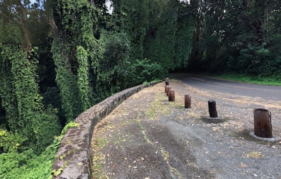 59-Year-Old Man Airlifted to Safety After 40-Foot Fall on Makiki Valley Trail in Honolulu Hiking Misadventure