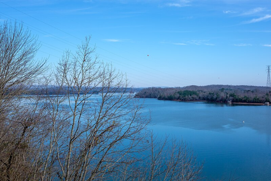 75-Year-Old Knoxville Man Dies After Falling Overboard at Tennessee National Marina