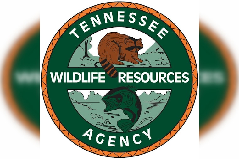 76-Year-Old Man Dies in Drowning Incident at Tennessee National Marina on Fort Loudoun Lake