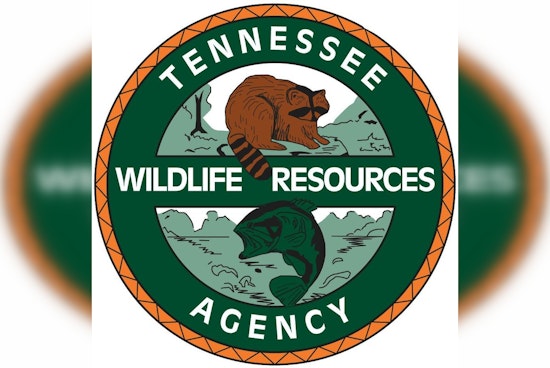 76-Year-Old Man Dies in Drowning Incident at Tennessee National Marina on Fort Loudoun Lake