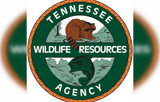 76-Year-Old Man Dies in Drowning Incident at Tennessee National Marina on Fort Loudoun Lake