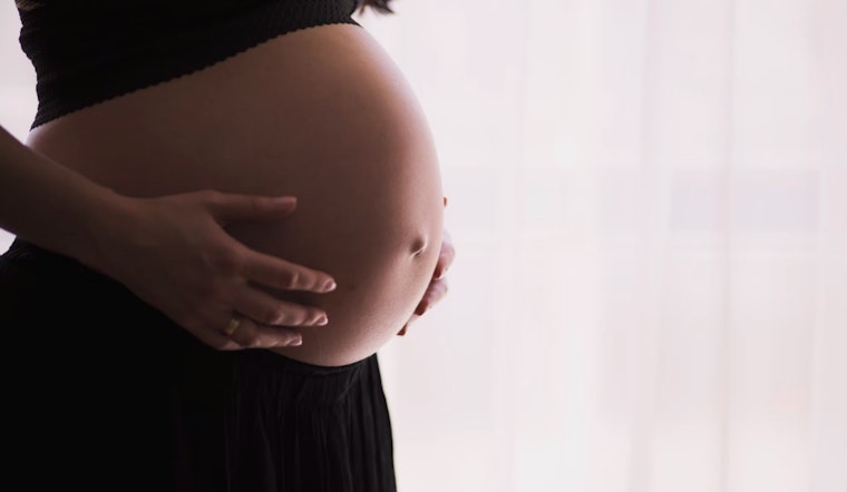 Allegations of Funds Misappropriation Hit Houston Surrogacy Company as Families Face Financial Strain