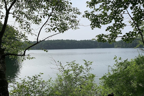 Allston Man, 62, Tragically Drowns at Walden Pond, Authorities Urge Public to Heed Safety Regulations