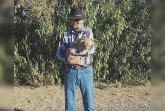 Arizona Authorities Issue Silver Alert for Missing 69-Year-Old Apache Junction Man with Medical Condition