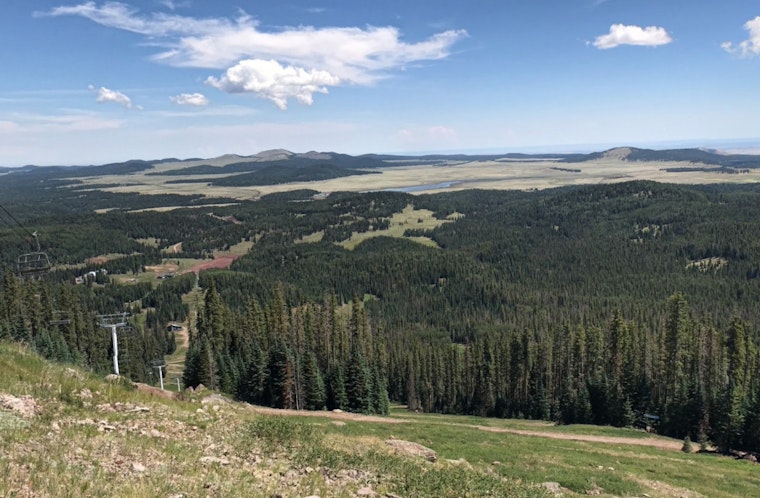 Arizona's Sunrise Park Resort to Unveil New Tribal-Owned Alpine Coaster in Greer