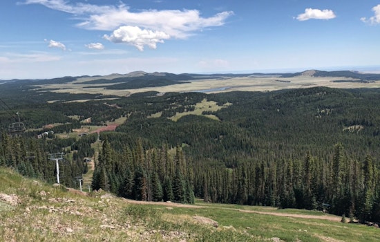 Arizona's Sunrise Park Resort to Unveil New Tribal-Owned Alpine Coaster in Greer