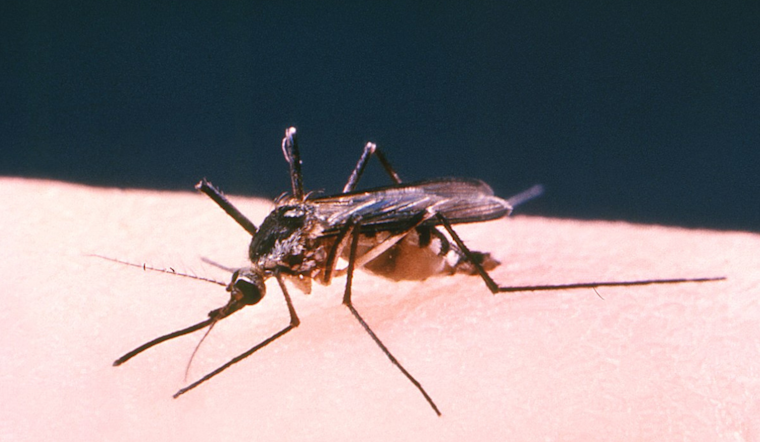 Arlington Intensifies West Nile Virus Combat with Targeted Mosquito Spraying Operations