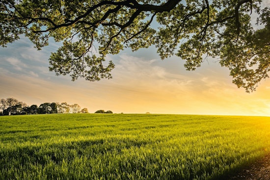 Aurora Contemplates Annexation of Future Solar Farm Site in Land-Use Standoff with Aldermen and Kane County