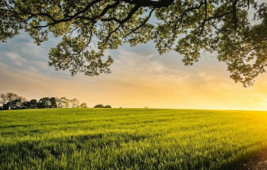 Aurora Contemplates Annexation of Future Solar Farm Site in Land-Use Standoff with Aldermen and Kane County