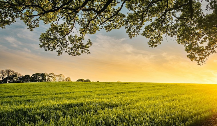 Aurora Contemplates Annexation of Future Solar Farm Site in Land-Use Standoff with Aldermen and Kane County