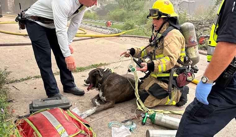 Austin Firefighters Heroically Rescue Dogs from North Austin Garage Blaze