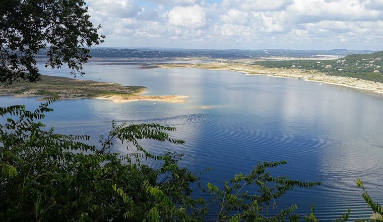 Austin Pet Owners Warned as Dog Dies After Swimming in Lake Travis, LCRA Tests for Dangerous Algae Toxins