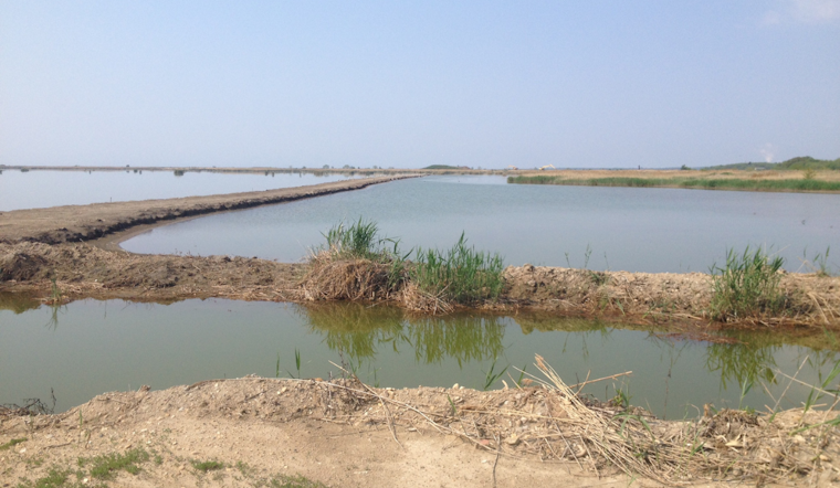 Baltimore County Seeks Community Members for Steering Committee to Shape Hart-Miller Island Benefit Agreement